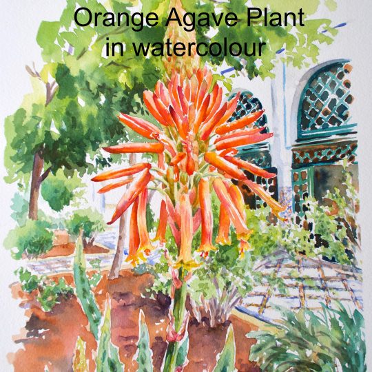 Orange Agave plant in Watercolour